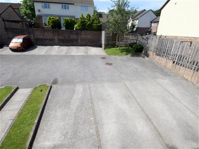 Picture 12